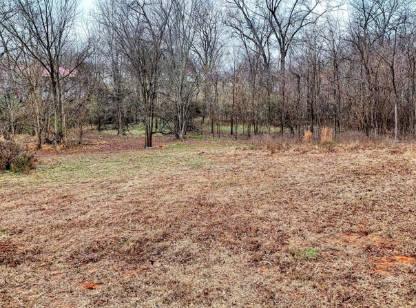 641 Forrest Avenue, McKenzie, TN 38201