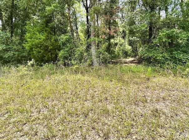 OBrien, FL 32071