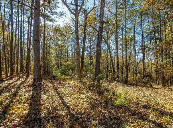 VIMY WOODS Drive, Alexander, AR 72022