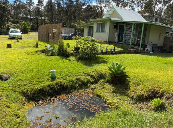 11-3244 ANUHEA ST, Volcano, HI 96785