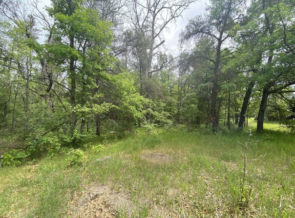 Stitt Lane, Mio, MI 48647