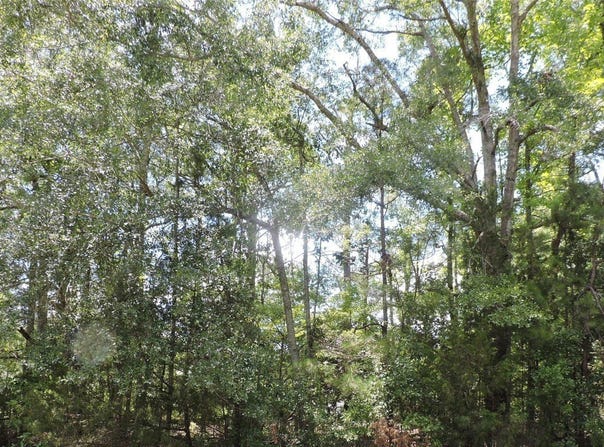 0 Ridge Road, Greenville, AL 36037