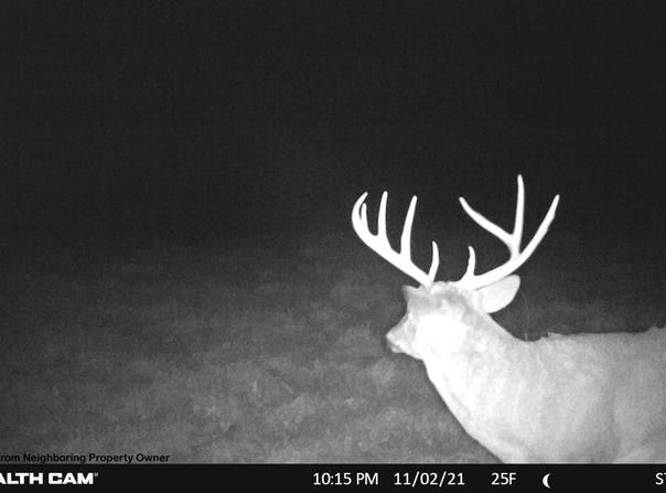 Elk Creek Road, Viola, WI 54664