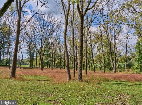 6321 SAW MILL Road, NEW HOPE, PA 18938