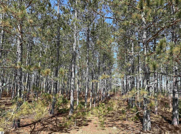 lot 4 Meadow Lane, Thompsonville, MI 49683