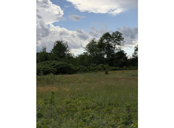 390 S Arent Road, Watervliet, MI 49098
