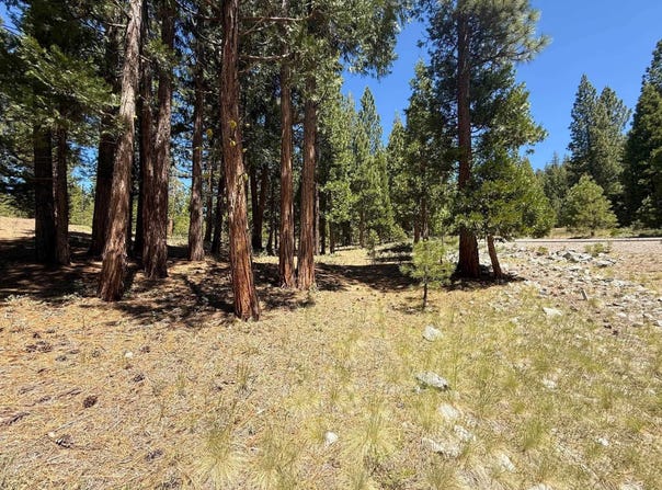 300 Peppergrass Lane, Portola, CA 96121-0000