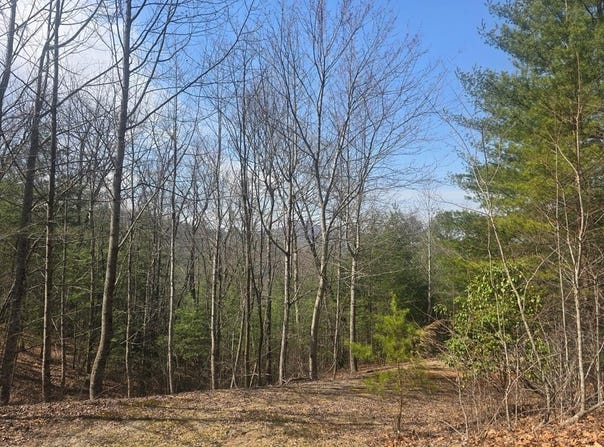 8 & 9 Up The Ridge Road, Blairsville, GA 30512