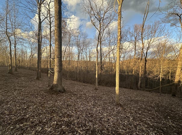 0 Lot #5 Nicholas Ridge Road, Verona, KY 41092