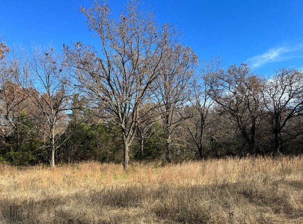 9805754 S. OakTree Rd, Wellston, OK 74881