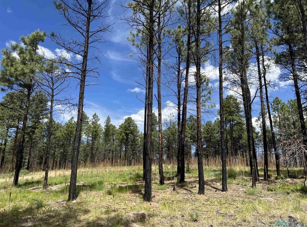 152 Calle Retiro Road, Rociada, NM 87742