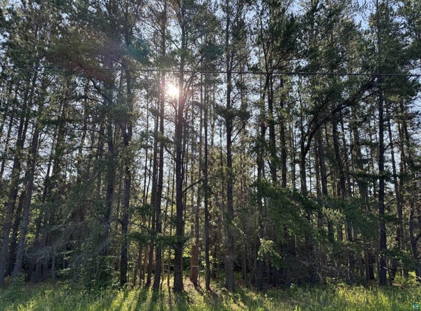 XX Waldo Rd, Two Harbors, MN 55616