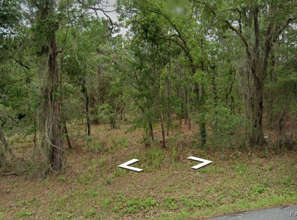 1652 E McKinley Street, Hernando, FL 34442