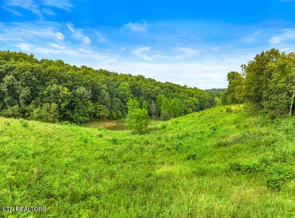 515 W Turner Ridge Rd Rd, Newport, TN 37821