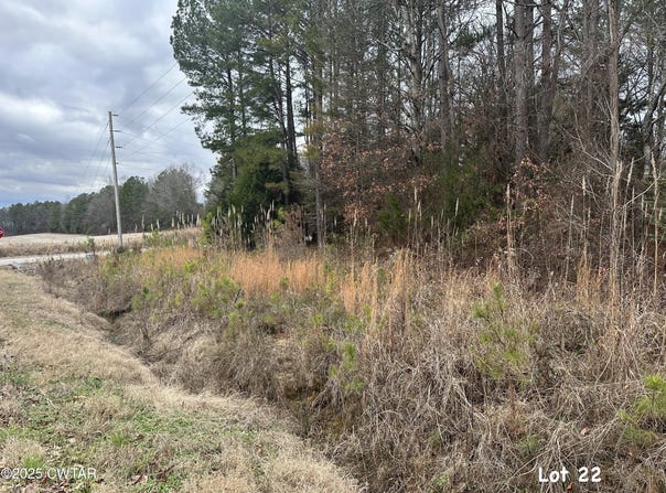 Lot 22/26 Oak View Drive, Adamsville, TN 38310