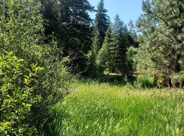 141 Lick Creek Road, Hamilton, MT 59840