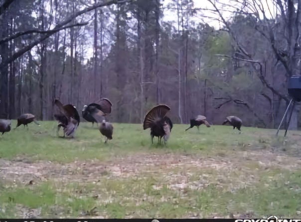 Green Door Road, Eupora, MS 39744