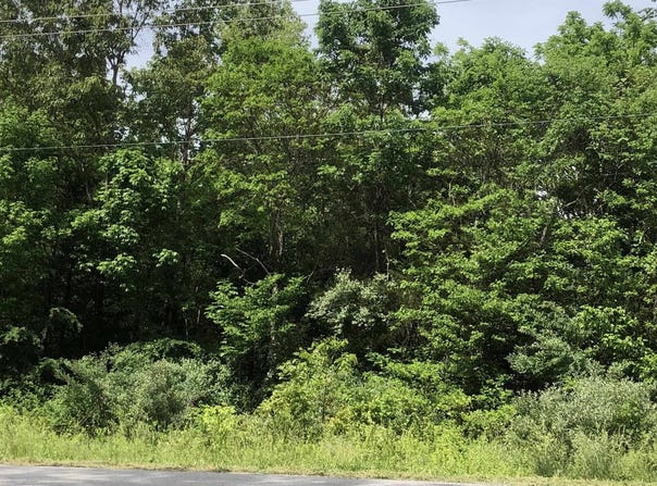 E Lakeshore Drive, Cherokee Village, AR 72529