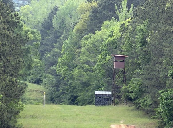 Nevada 161, Willisville, AR 71864