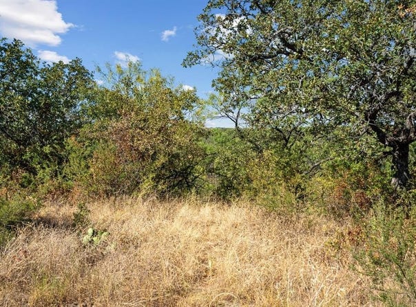 Tract 7 State Highway 6, Moran, TX 76464