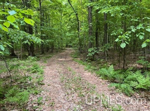 20.99 Acres Old J, Silver Cliff T-WI, WI 54104