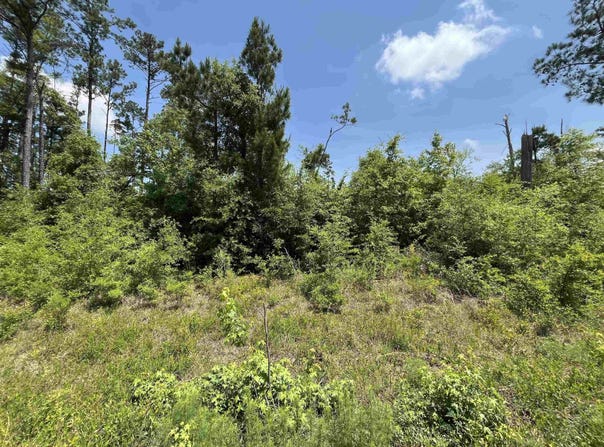 Grand Quiviera Circle, Alford, FL 32420