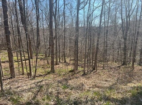 Maple Grove Road, Moscow, PA 18444