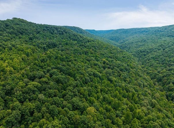 W Bobcat LN_Lot 54, WILDER, TN 38589