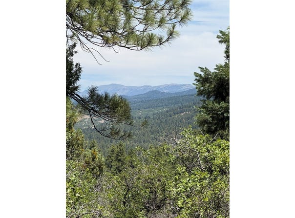 381 Buckman Rd, Chama, NM 87520