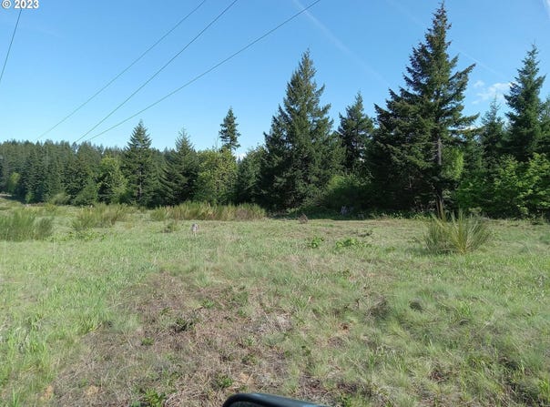 Lacock-Kelchner Rd, Underwood, WA 98651