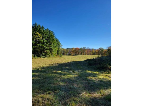 Hurricane Ridge Road, CHARMCO, WV 25958