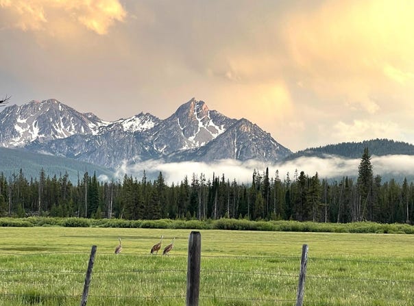 Highway 21 & Cow Camp Rd, Stanley, ID 83278