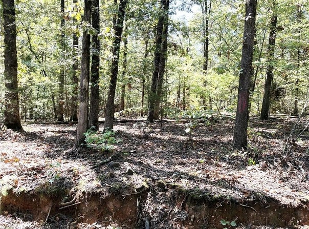 TBD Doyel RD lot: 0, Mountainburg, AR 72946