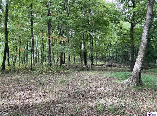 1647 Boone Hollow Road, Battletown, KY 40104