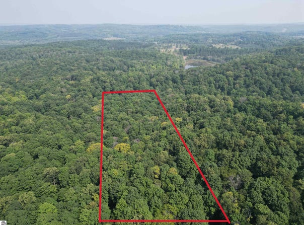 10 Acres VL Wildwood, Mancelona, MI 49659