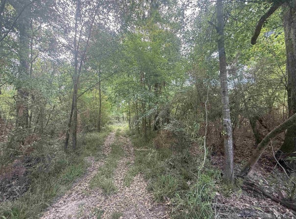 Lot-138 Amite River Rd, Baton Rouge, LA 70817