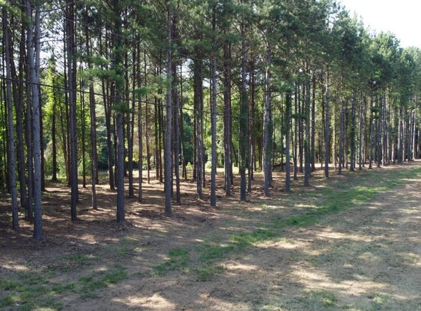 1900 Highway 23, Ozark, AR 72949