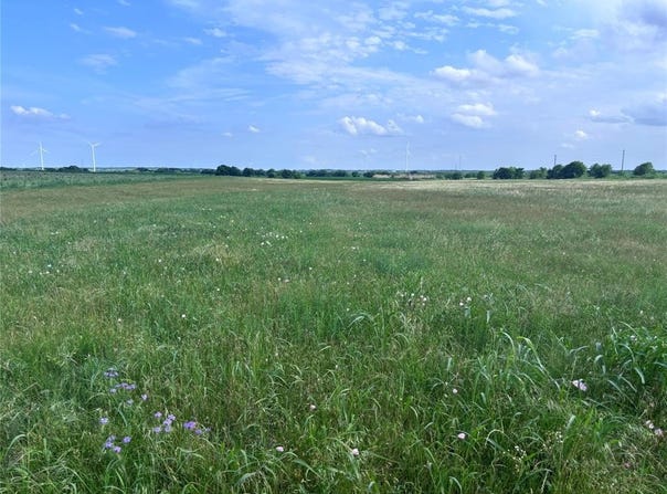 Tbd HCR 3254, Mount Calm, TX 76673