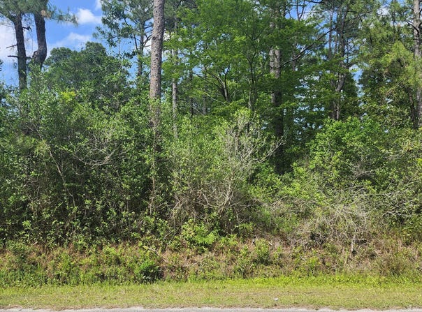 Lot 143 Elm Road, Boiling Spring Lakes, NC 28461