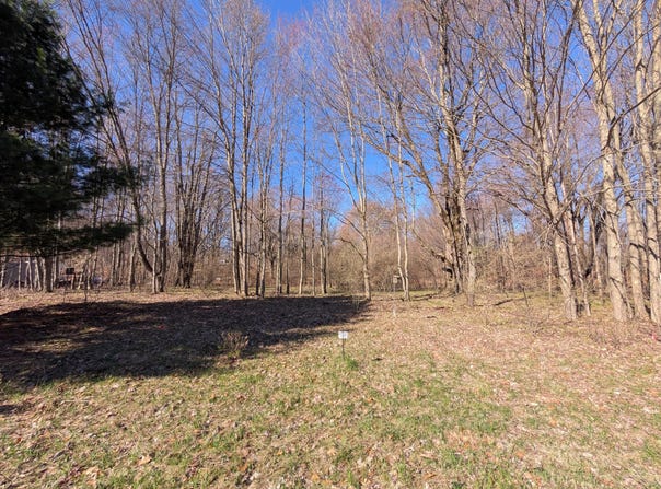 6465 Fox Den, Custer, MI 49405