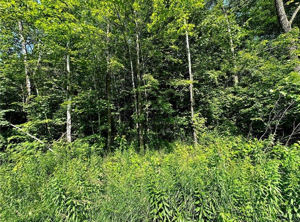 1 Acre 305th Avenue, Holcombe, WI 54745