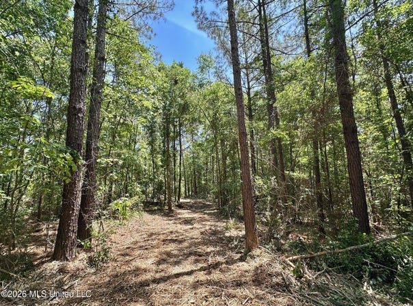 2 Mcnair Springs Road, Magee, MS 39111