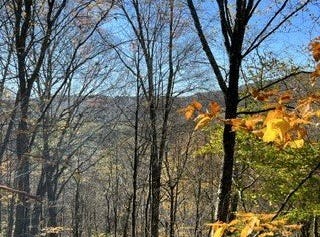 Delaware Avenue lot: 149.20-2-3, Delhi, NY 13753