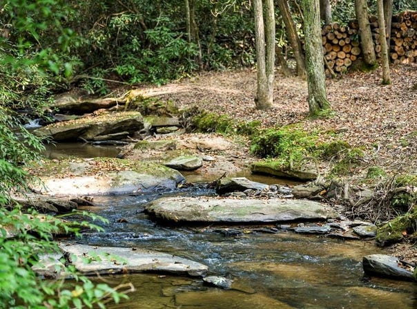 Evergreen Lane, Mineral Bluff, GA 30559