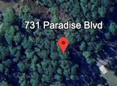 731 PARADISE Boulevard, GEORGETOWN, FL 32139