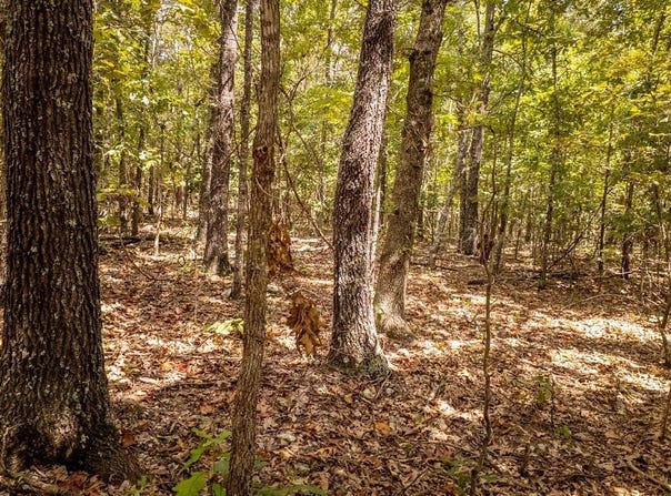 County Road 9640, Koshkonong, MO 65692