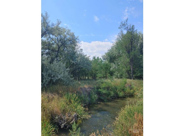 Tbd 1st And Main, Hagerman, ID 83332