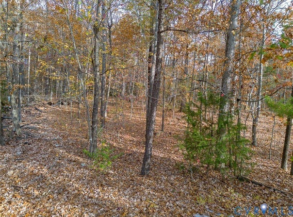 Creekmore Road, Henrico, VA 23238