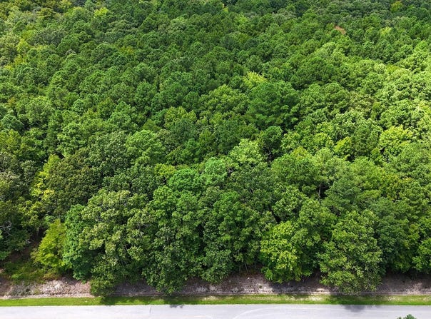 Tbd Boat Ramp Road, New Hope, NC 27944