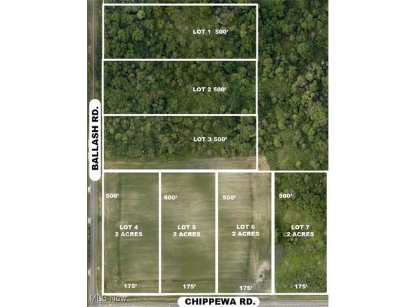 Ballash Road lot: #1, Chippewa Lake, OH 44215